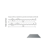 Trapeciniai ir fasadų lakštai