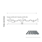 Trapeciniai ir fasadų lakštai