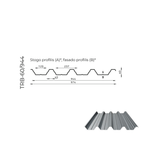 Trapeciniai ir fasadų lakštai