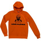 Džemperis "Ledai plaukia"